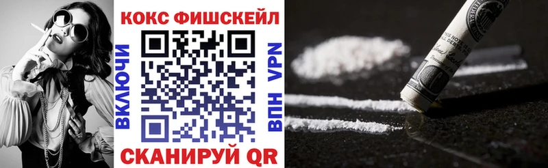 дарк нет наркотические препараты  Славгород  Cocaine FishScale  цена наркотик  мега сайт 