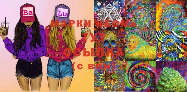 шишки Балабаново