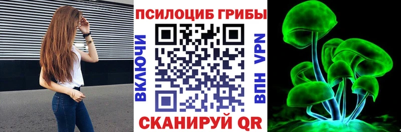 Галлюциногенные грибы Psilocybine cubensis  Славгород 