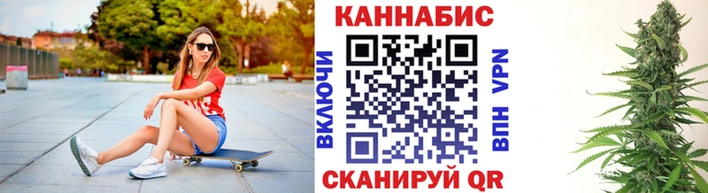 MEGA как зайти  цена наркотик  Славгород  Каннабис сатива 